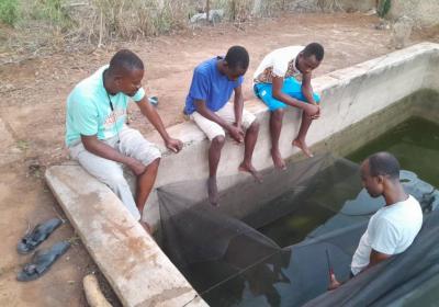4 Agribusiness Students Working on the Departments Fishpond