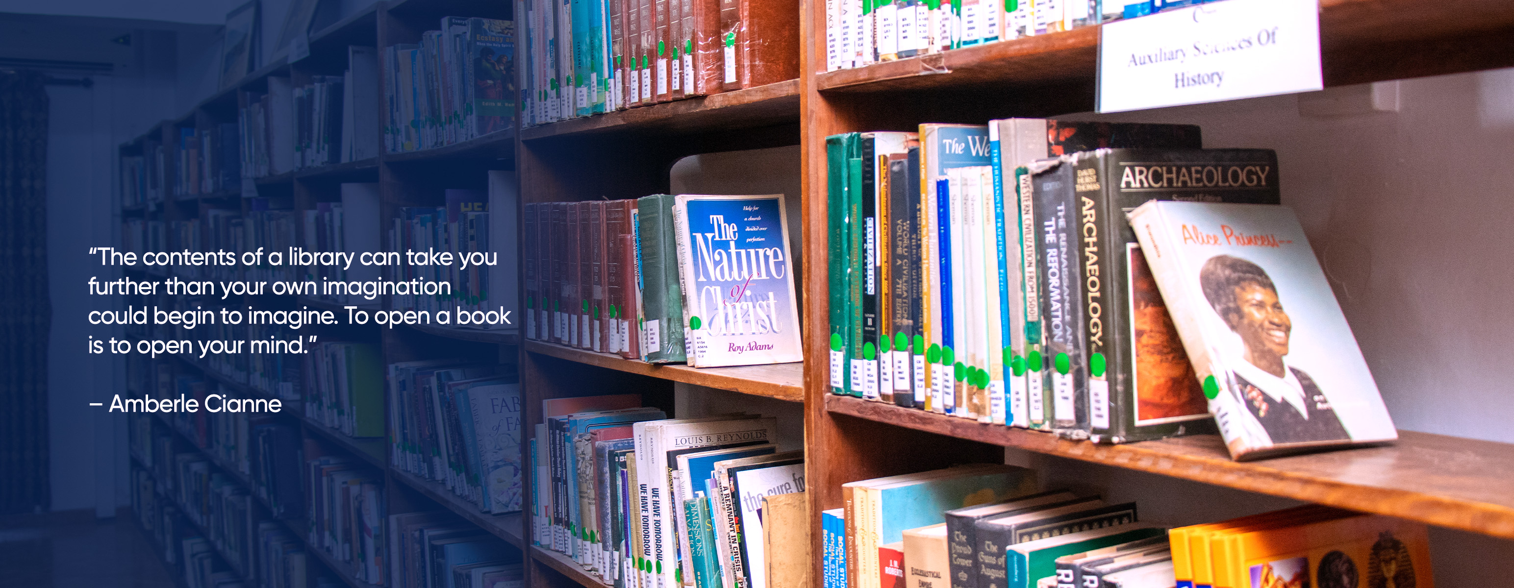 Digital Library Resources
