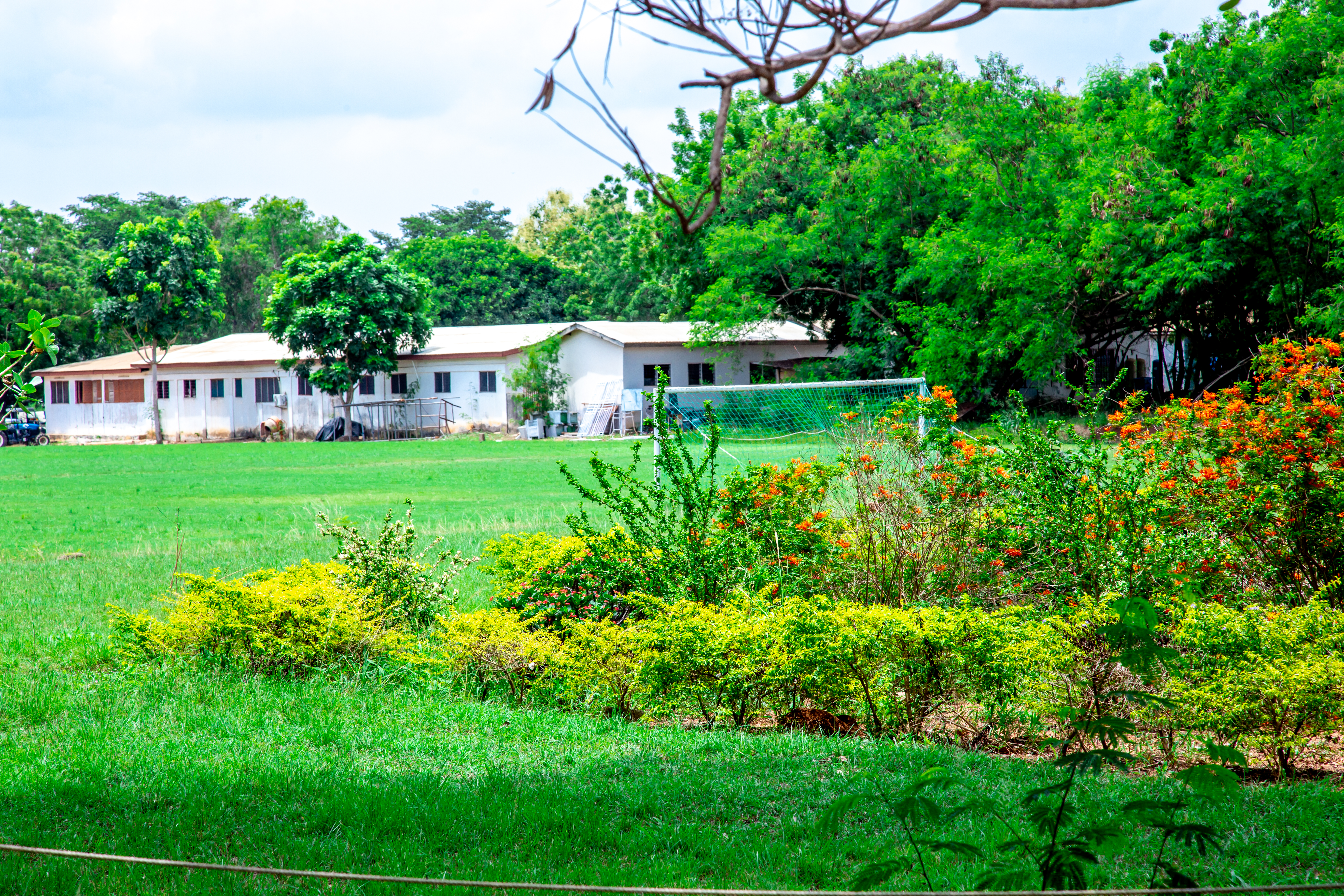 VVU Campus