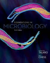 Foundations in Microbiology